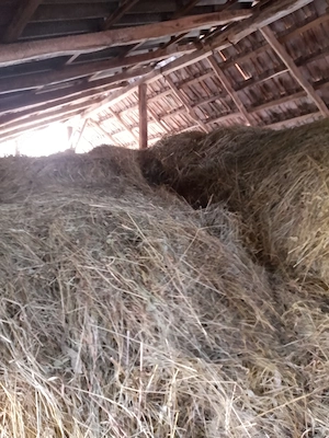 Fan de vânzare, Pucioasa, Dambovita - imagine 2