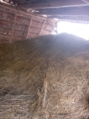 Fan de vânzare, Pucioasa, Dambovita - imagine 4