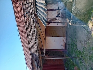 Casă de vânzare în Maureni Caraș Severin 
