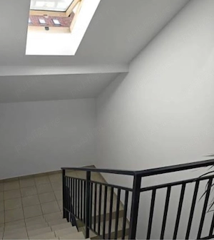 zugraveli profesionale cu pompa ailess