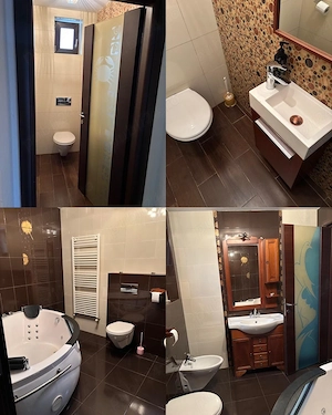 Vila deosebita de vanzare   Pitesti   Cartier Trivale   Langa padure   2 min de Schitul din Trivale  - imagine 4