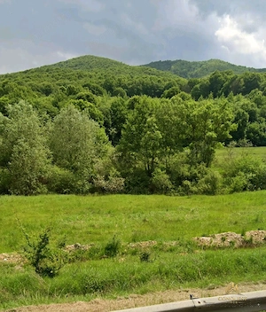 Teren investiție Măieruș   PUZ Aprobat | COMISION 0% - imagine 4