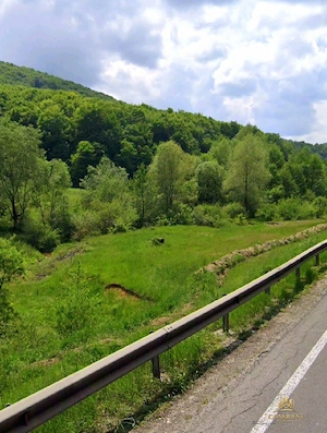 Teren investiție Măieruș   PUZ Aprobat | COMISION 0% - imagine 2