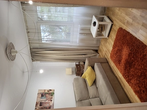 Garsoniera de inchiriat, Teiul Doamnei - imagine 3