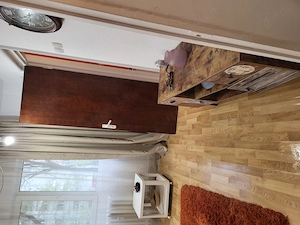 Garsoniera de inchiriat, Teiul Doamnei - imagine 8