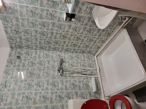 Garsoniera de inchiriat, Teiul Doamnei - imagine 4