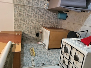 Garsoniera de inchiriat, Teiul Doamnei - imagine 6