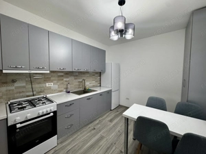 2 camere Elisabetin-parter, renovat recent, centrala proprie - imagine 8