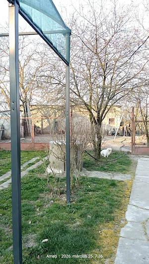 Vând Casă in Amati Stradă Principală. Mai multe detalii la telefon