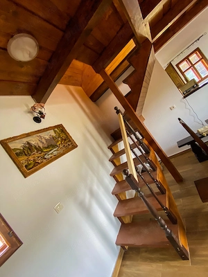 De vanzare casa de vacanta, Vatra Dornei - imagine 7