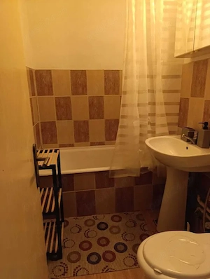 Apartament cu 1 camera in Tatarasi Sud-Gradinari-Tudor Vladimirescu - imagine 4