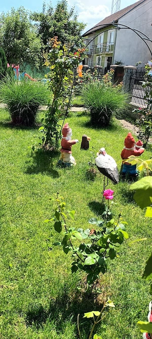 Vand casa deosebita in Caransebes intr-un cartier Rezidential - imagine 9