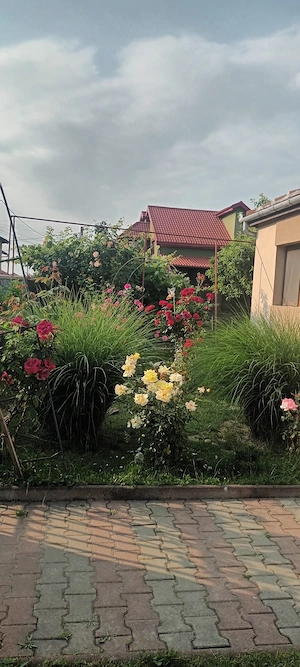 Vand casa deosebita in Caransebes intr-un cartier Rezidential - imagine 3