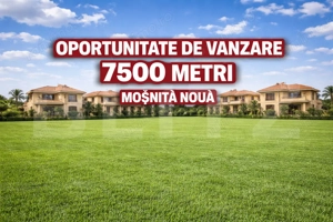 Teren de vanzare 7500 metri, Mosnita Noua 