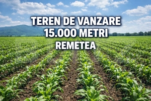 Teren de vanzare, 15.000 M, Remetea 