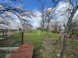 Casa pe parter, 75 mp, teren generos 2000mp, zona Troaca -Rovine 2 - imagine 15