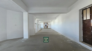 Proprietate multifunctionala - teren generos, cladire si hala in Lugoj - imagine 16