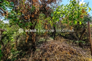 Casă pe Dorobanților | 716 mp teren | centrală gaz | Pârneava - imagine 12