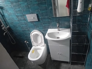 curetenie cutrte si gradin