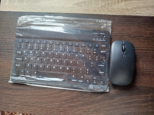 mouse si tastatură 