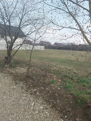 Teren Piatra Neamt 65 euro - imagine 5