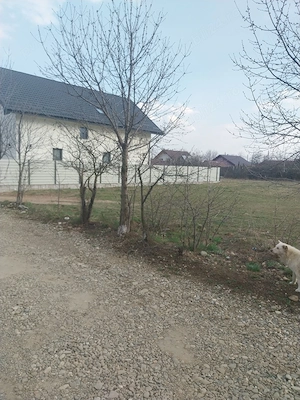 Teren Piatra Neamt 65 euro - imagine 4