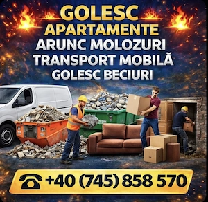 golire aprtamente aruncare molozuri 