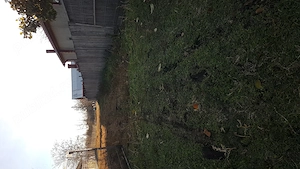 Teren intravilan în Lipia  - imagine 2