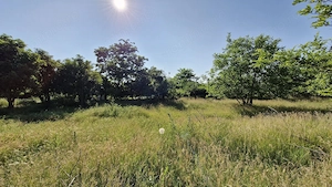 Teren intravilan 2.400 mp | Dâlga - Dor Mărunt |  1 oră de București - imagine 2