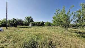 Teren intravilan 2.400 mp | Dâlga - Dor Mărunt |  1 oră de București - imagine 3