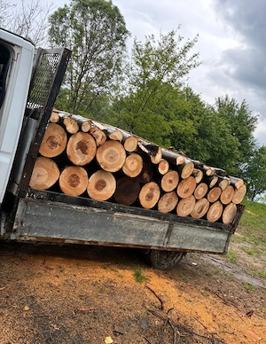 Lemn de foc esenta tare 