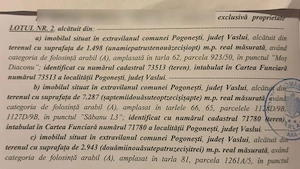 de vanzare - imagine 2