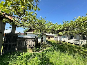 Casa batraneasca cu teren intravilan - imagine 3