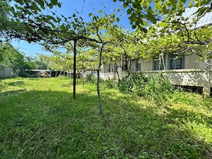 Casa batraneasca cu teren intravilan - imagine 4