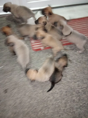 100 euro,mascul - imagine 4