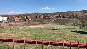 Cabana și Teren Generos în localitatea Hening - imagine 5