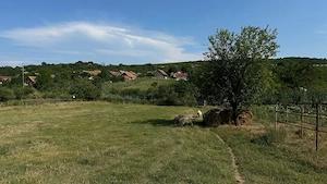 Cabana și Teren Generos în localitatea Hening - imagine 4