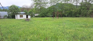 Teren de vanzare in Păușești-Măglași 