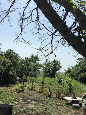 Casa taraneasca si curte - imagine 4