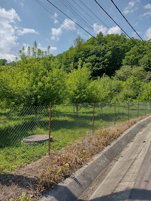 Teren in Geoagiu de sus, zona minunata aproape de manastirea Ramet - imagine 6