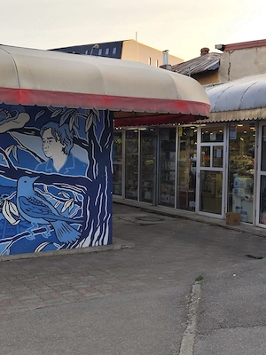 Magazin de vânzare zona centrala