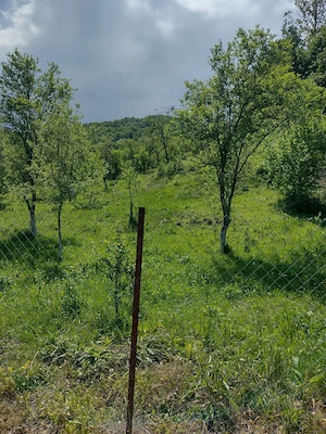 Teren in Geoagiu de sus, zona minunata aproape de manastirea Ramet - imagine 4