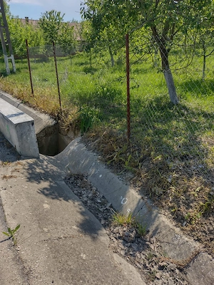 Teren in Geoagiu de sus, zona minunata aproape de manastirea Ramet - imagine 3