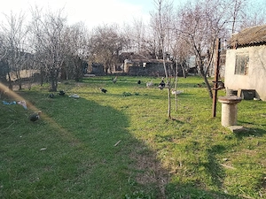 Casa de vanzare bătrânească la sat județul Călăraș oraș Budești localitatea Aprozi - imagine 5