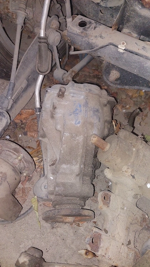 grup fata Daihatsu Terios