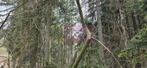 Etaj vilă istorică de vânzare în Sinaia – Zona Furnica - imagine 6