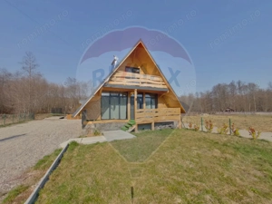 Casă / Vilă cu 4 camere de vânzare - imagine 2