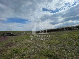 Teren intravilan pentru investitie, 2896 mp, Herneacova Timis - imagine 4