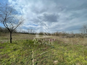 Teren intravilan pentru investitie, 2896 mp, Herneacova Timis - imagine 7