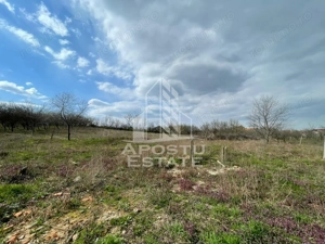 Teren intravilan pentru investitie, 2896 mp, Herneacova Timis - imagine 5